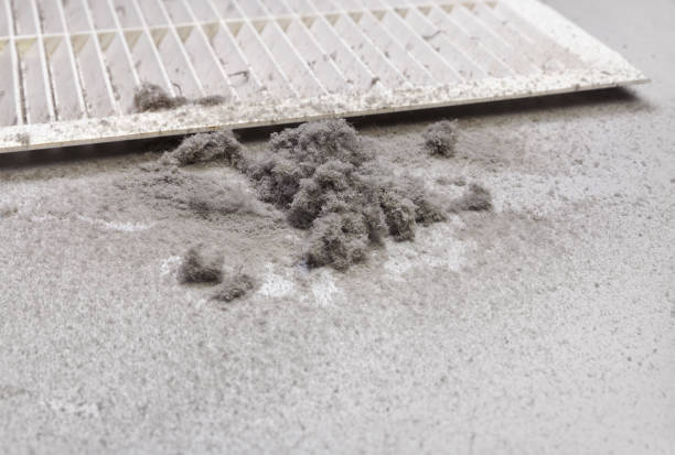 Best Ductwork Cleaning Services  in Plymouth, IN